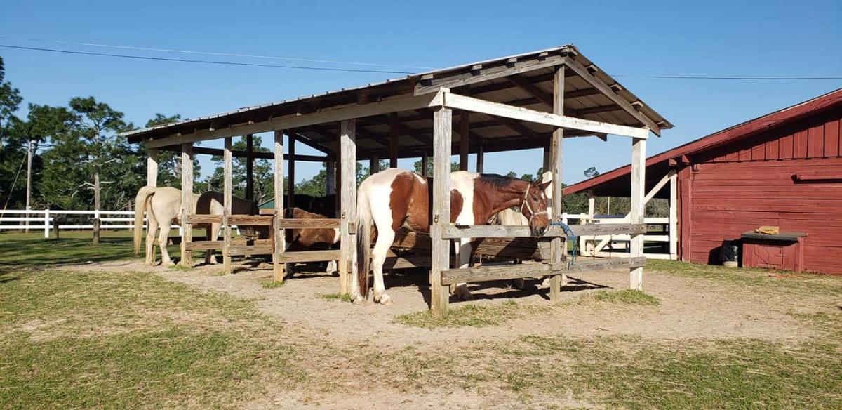 Hilltop Riding Stable