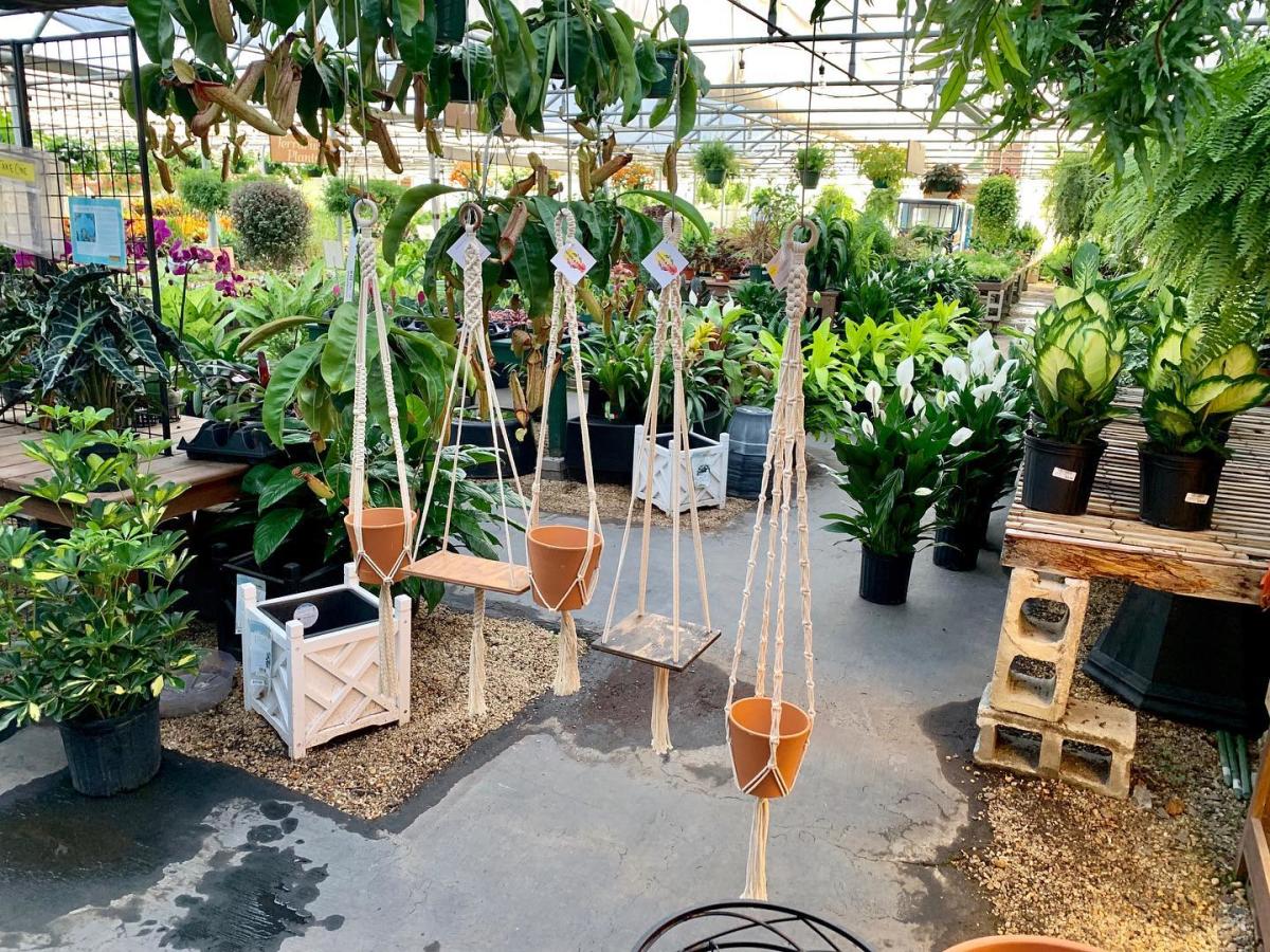 Cold Creek Nurseries