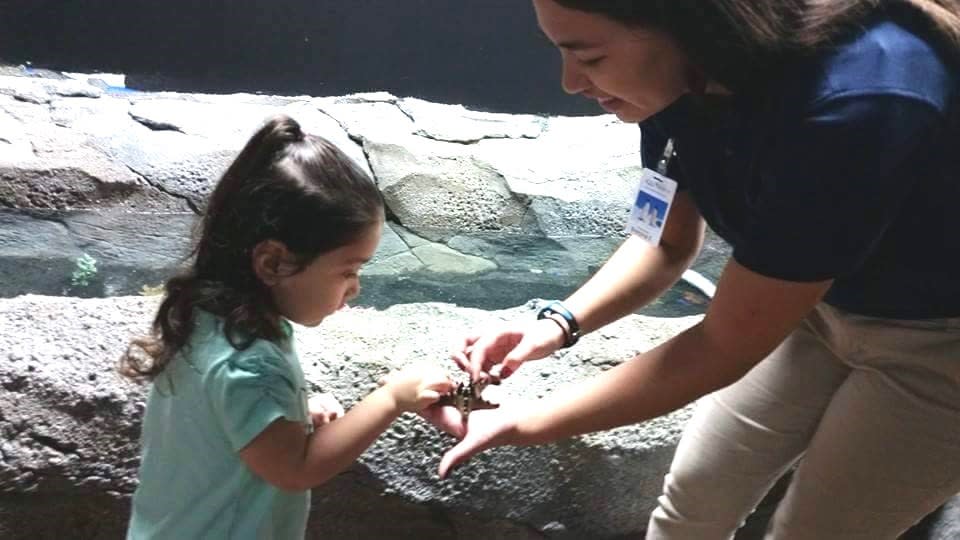 Austin Aquarium Austin, TX