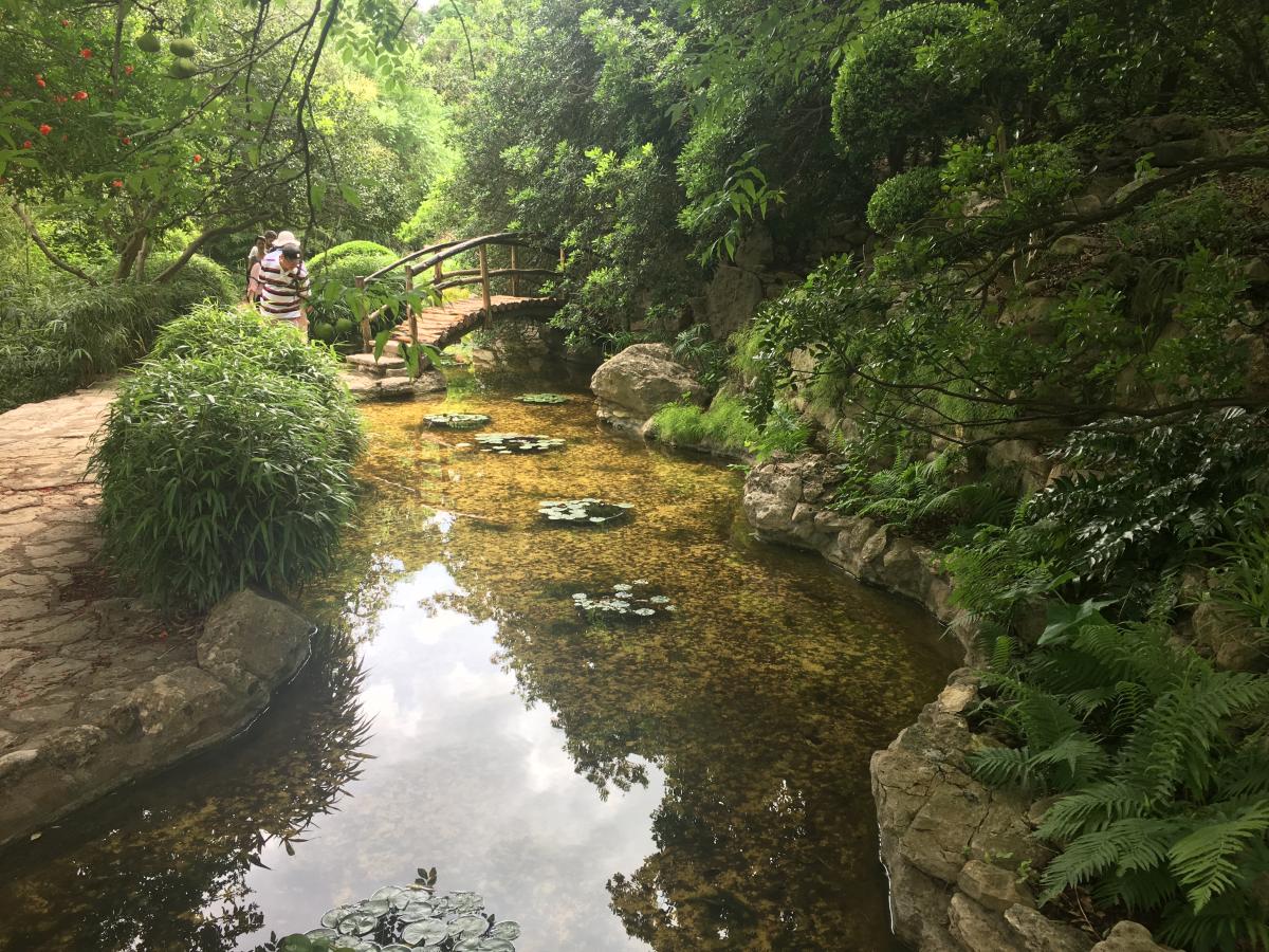 Zilker Botanical Garden | Austin, TX