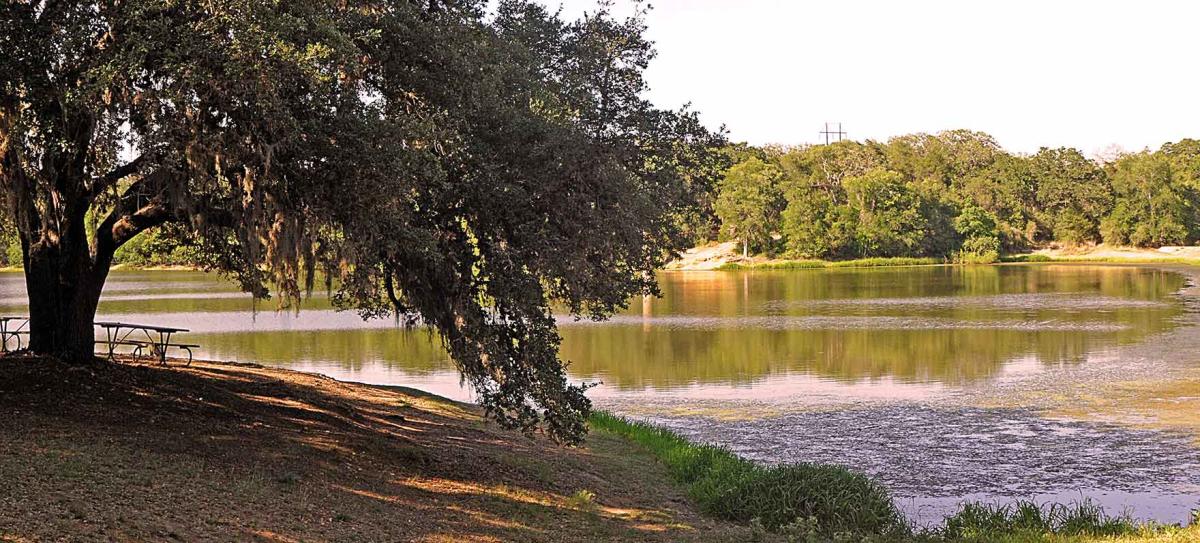Buescher State Park Map Buescher State Park | Smithville, Tx 78957