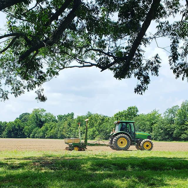 Luckett Farms At Rosedown Plantation