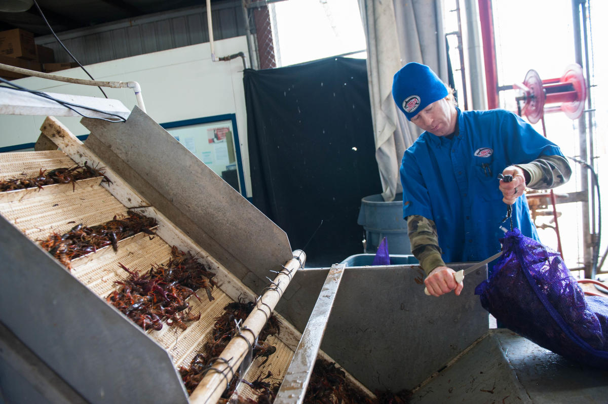 Tony S Seafood