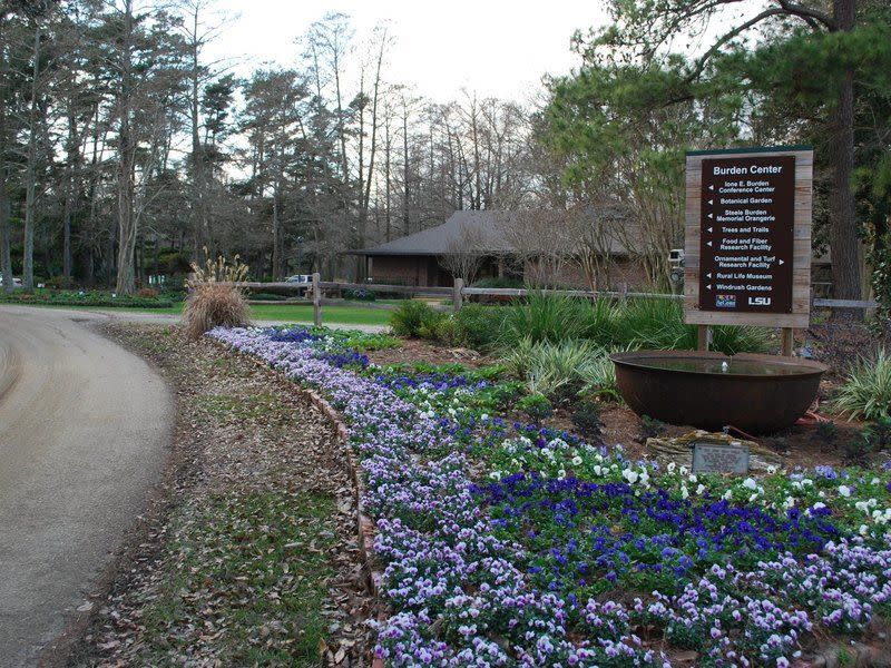 Lsu Burden Museum Amp Gardens