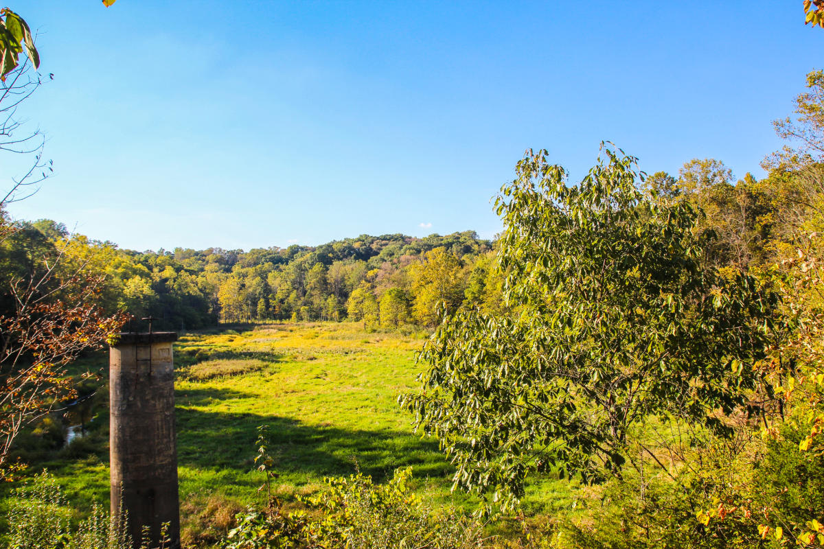 Leonard Springs Nature Park Bloomington, IN 47402