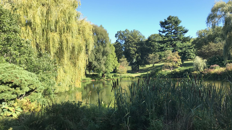 Visit Mt Auburn Cemetery
