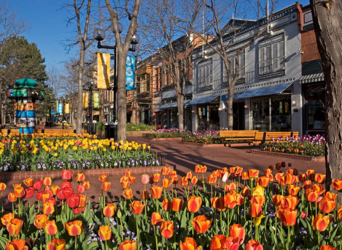 Pearl Street Arts Fest