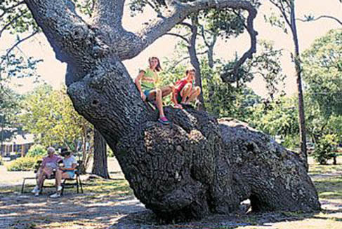 Keziah Park Southport Nc 28461