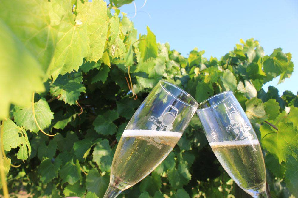 Peach Creek Vineyards College Station Tx 77845