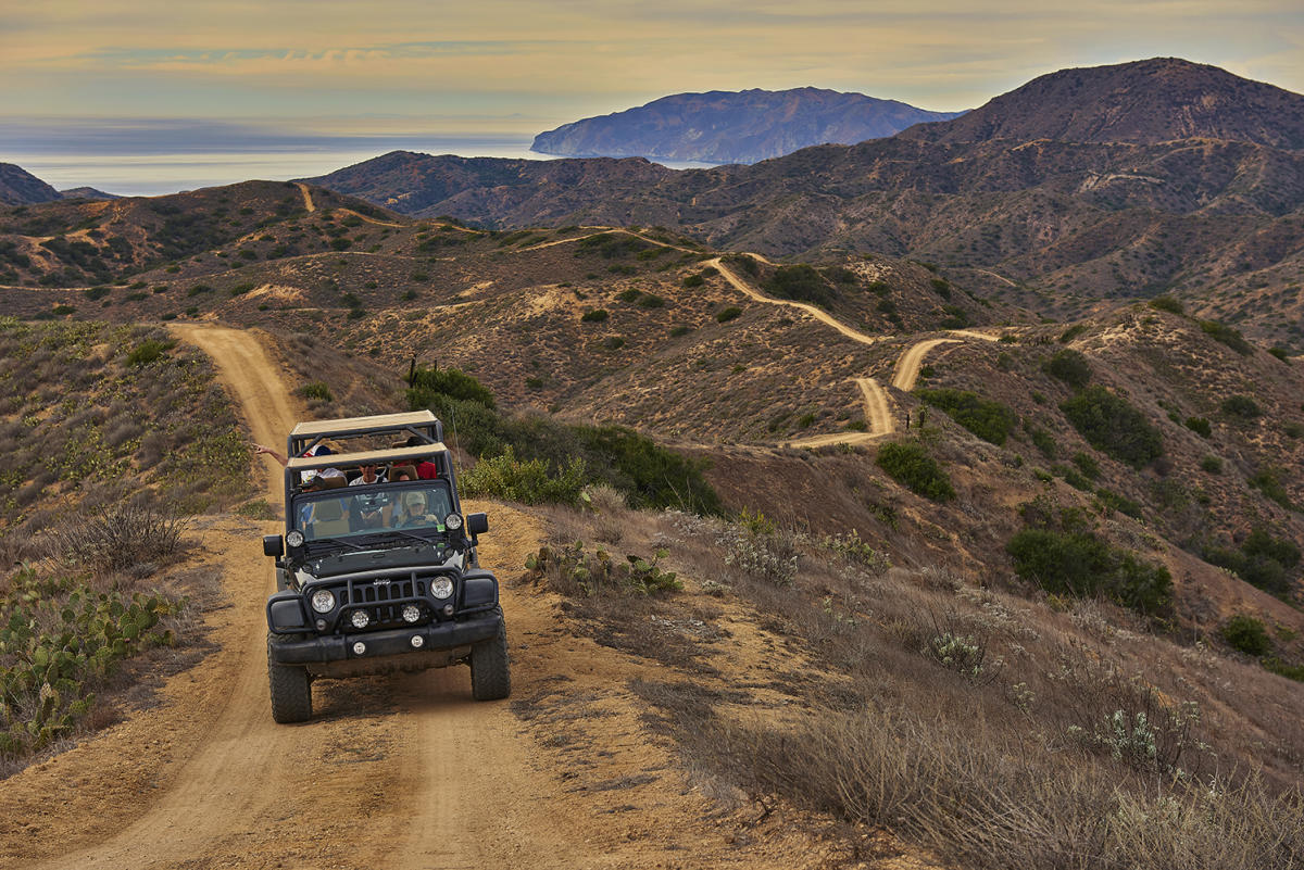 Catalina Island Conservancy | Catalina Island