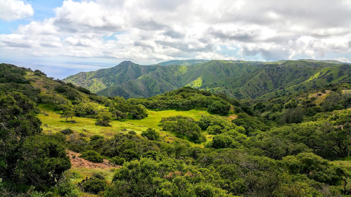 Catalina Island Conservancy