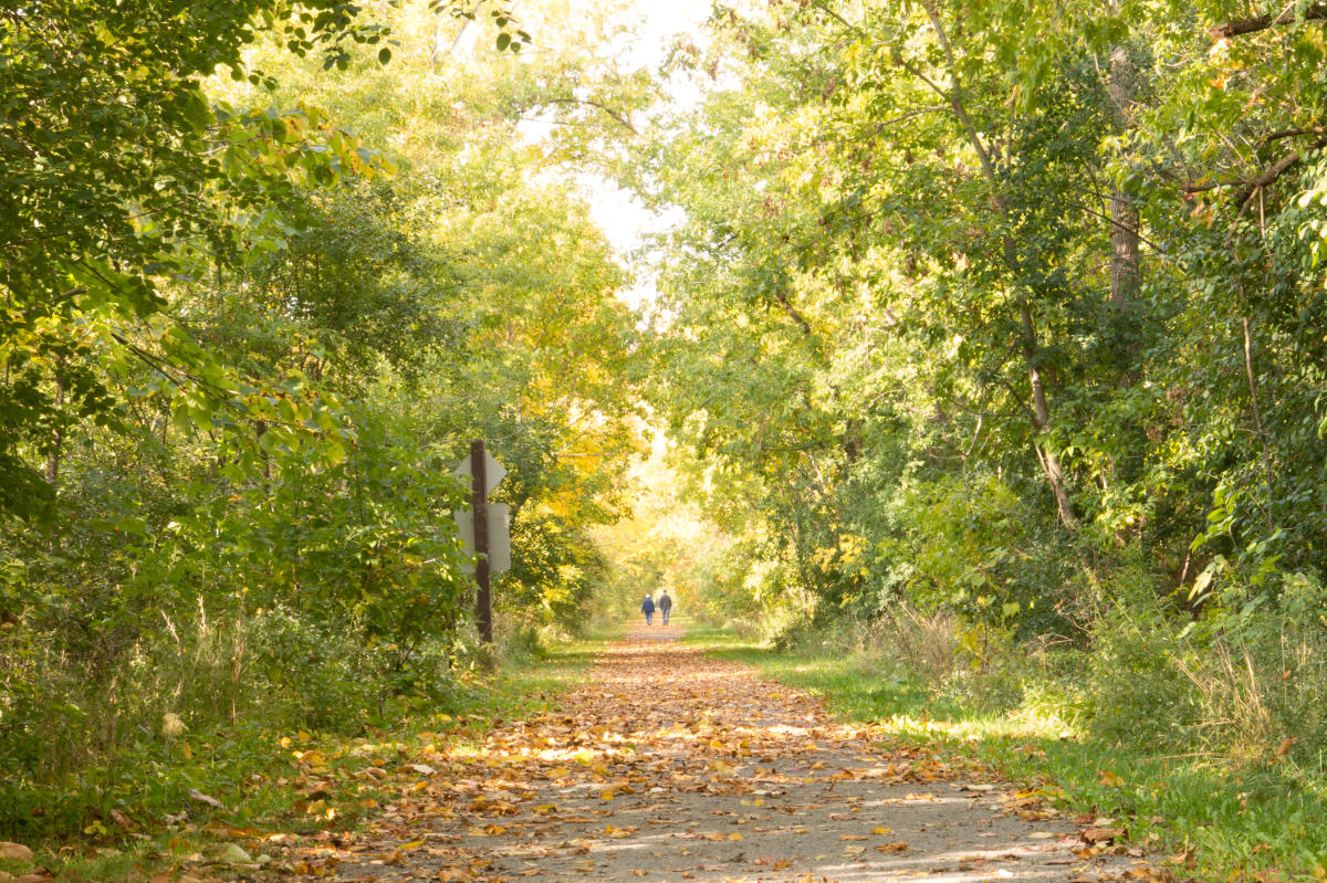 Cayuga County Erie Canal Recreational Trail