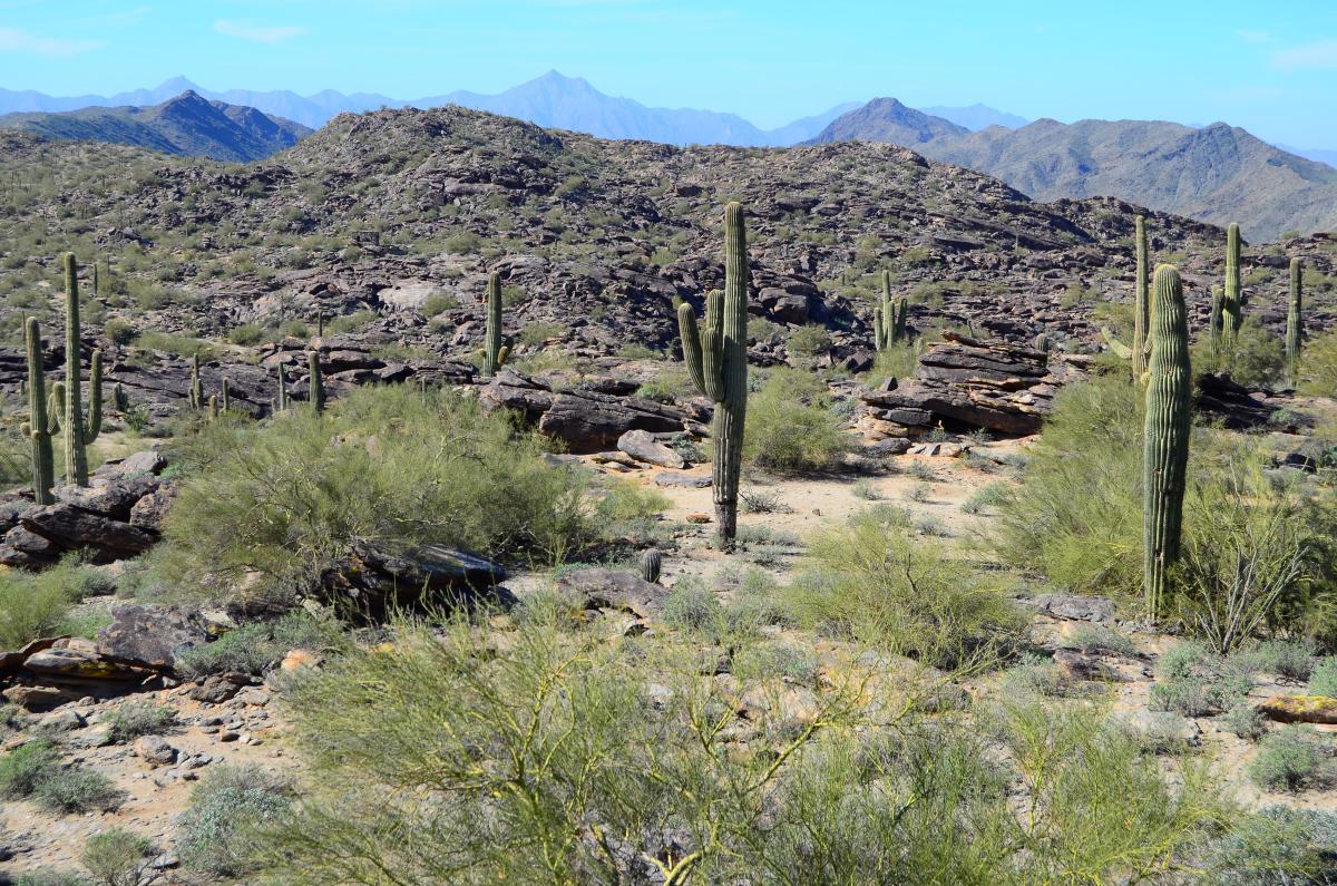 South Mountain Park and Preserve of Phoenix