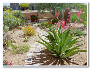 Xeriscape Garden