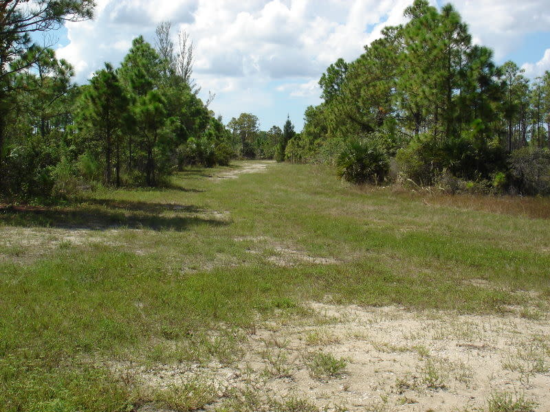 Charlotte Flatwoods Environmental Park Punta Gorda, FL 33955