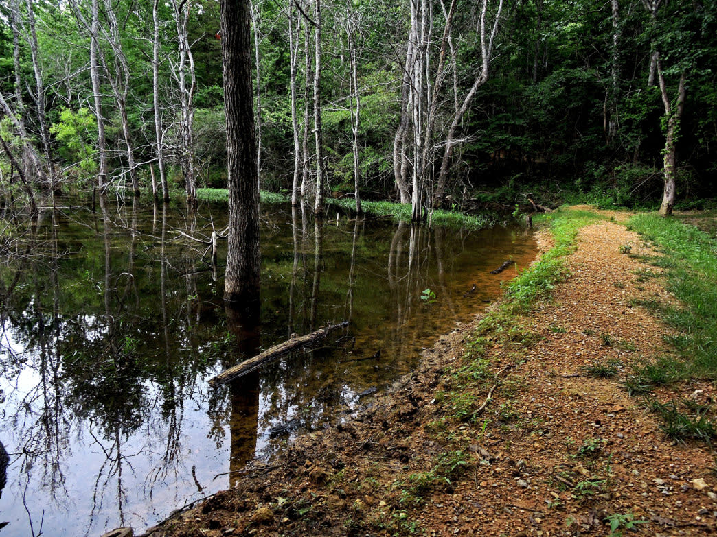 Enterprise South Nature Park