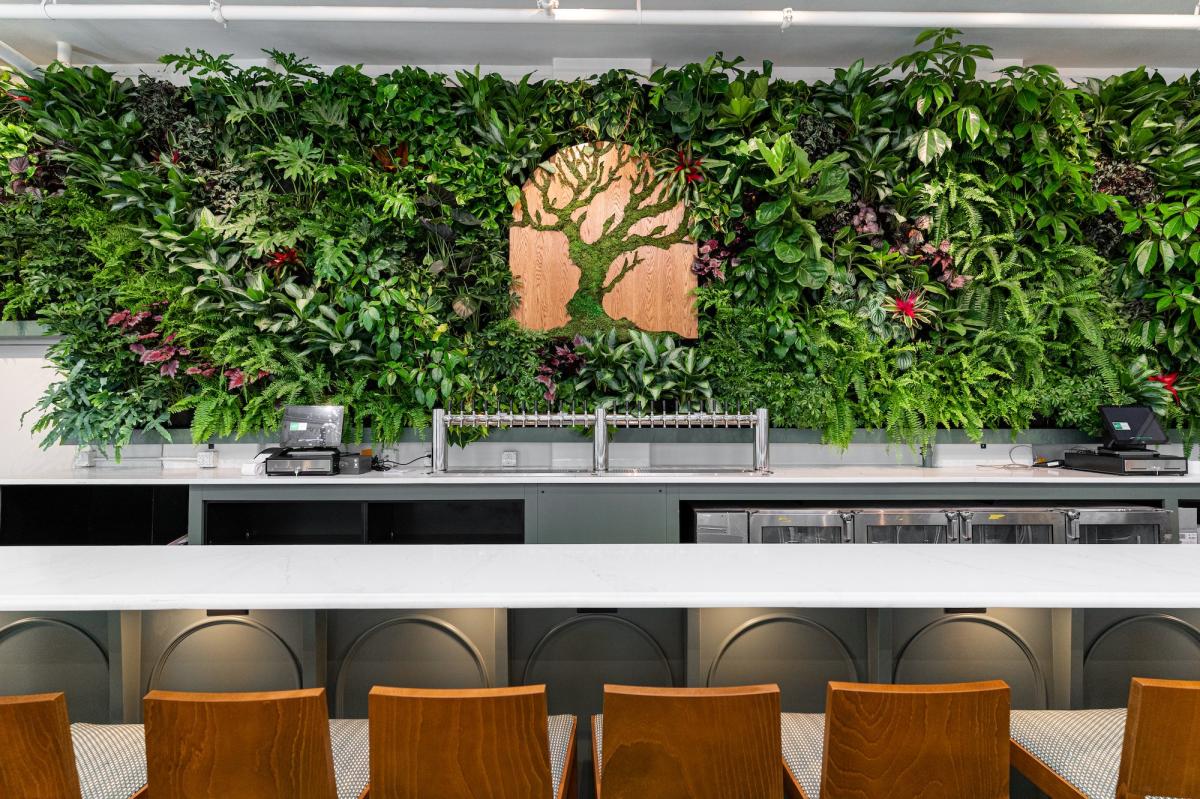 Alcove by MadTree Brewing