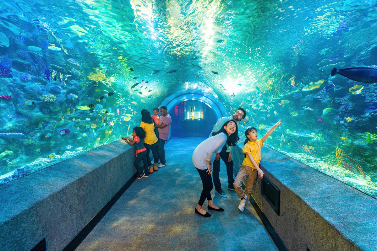 Newport Aquarium