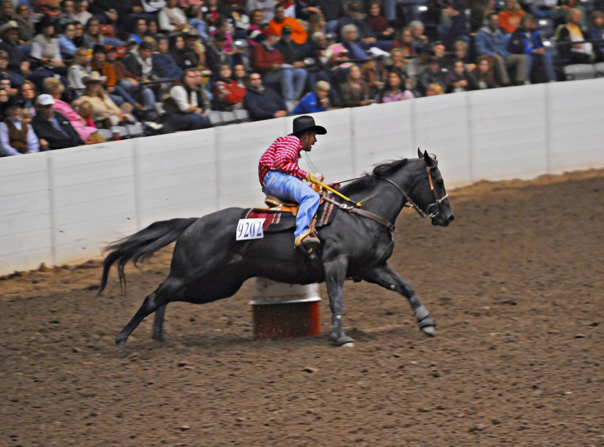 AllAmerican Quarter Horse Congress 9/27/22 10/23/22 Columbus, OH