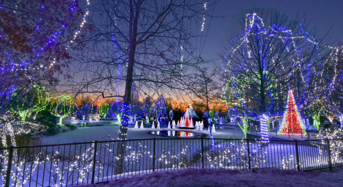 Wildlights 2021 | 11/19/21 - 1/2/22 | Powell, OH 43065