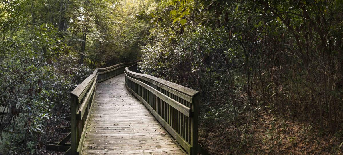 Emerald Isle Woods Park | Emerald Isle, NC