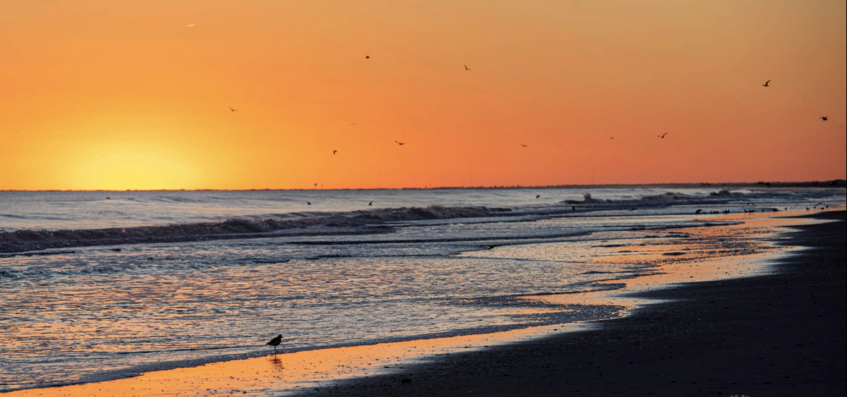 Promise Land Photography Morehead City, NC