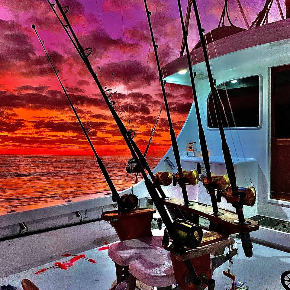 Twin Fin Fishing Charters Morehead City, NC