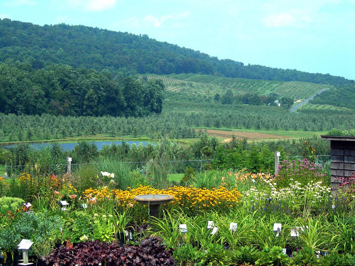 Boyer Nurseries & Orchards Inc Biglerville, PA 17307