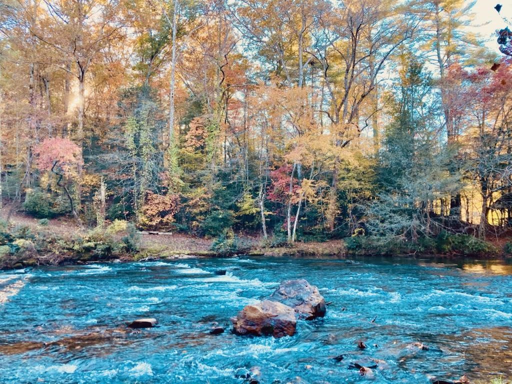 Stay at Rivermist Dahlonega