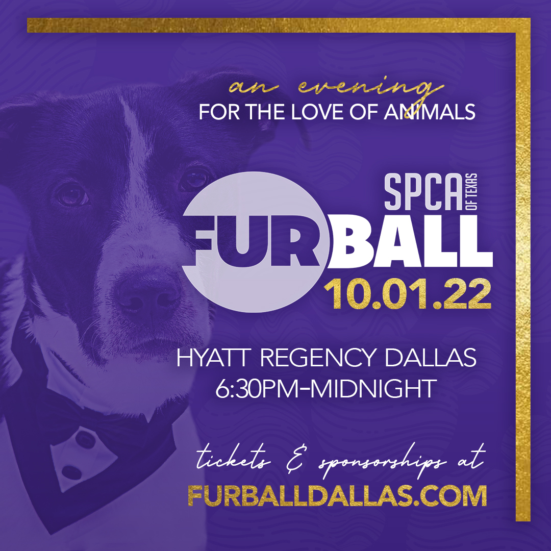SPCA of Texas Fur Ball