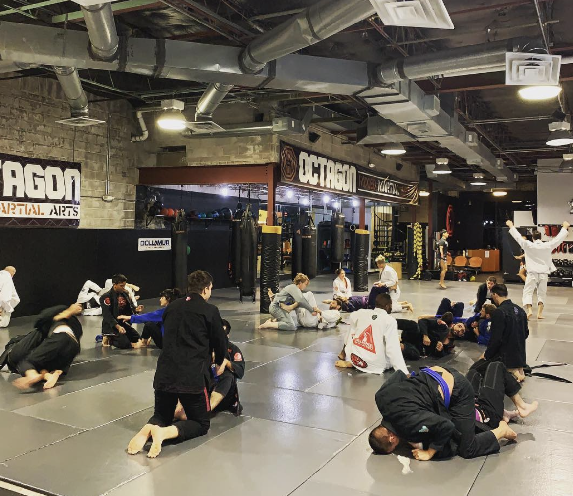 Octogon MMA