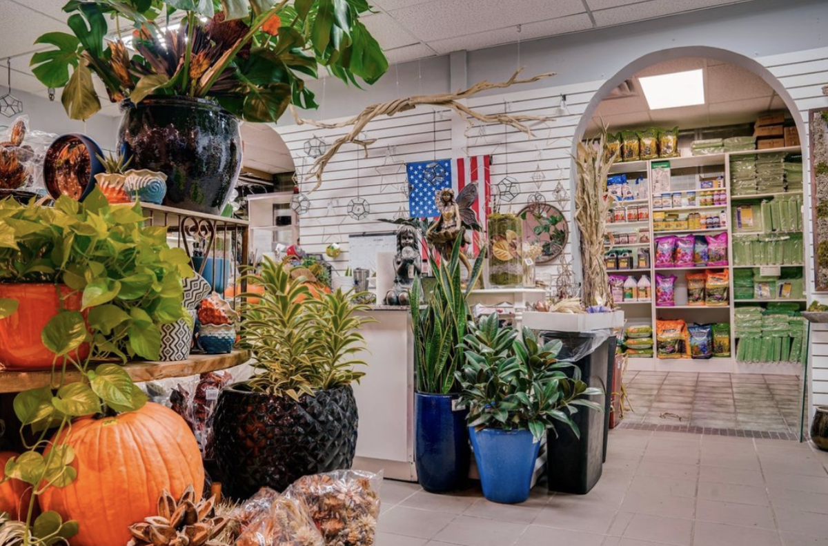 Jacksons Home and Garden