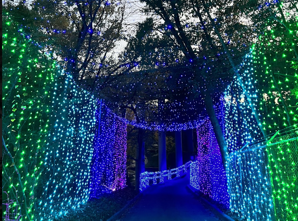Dallas Zoo Lights by Reliant Energy
