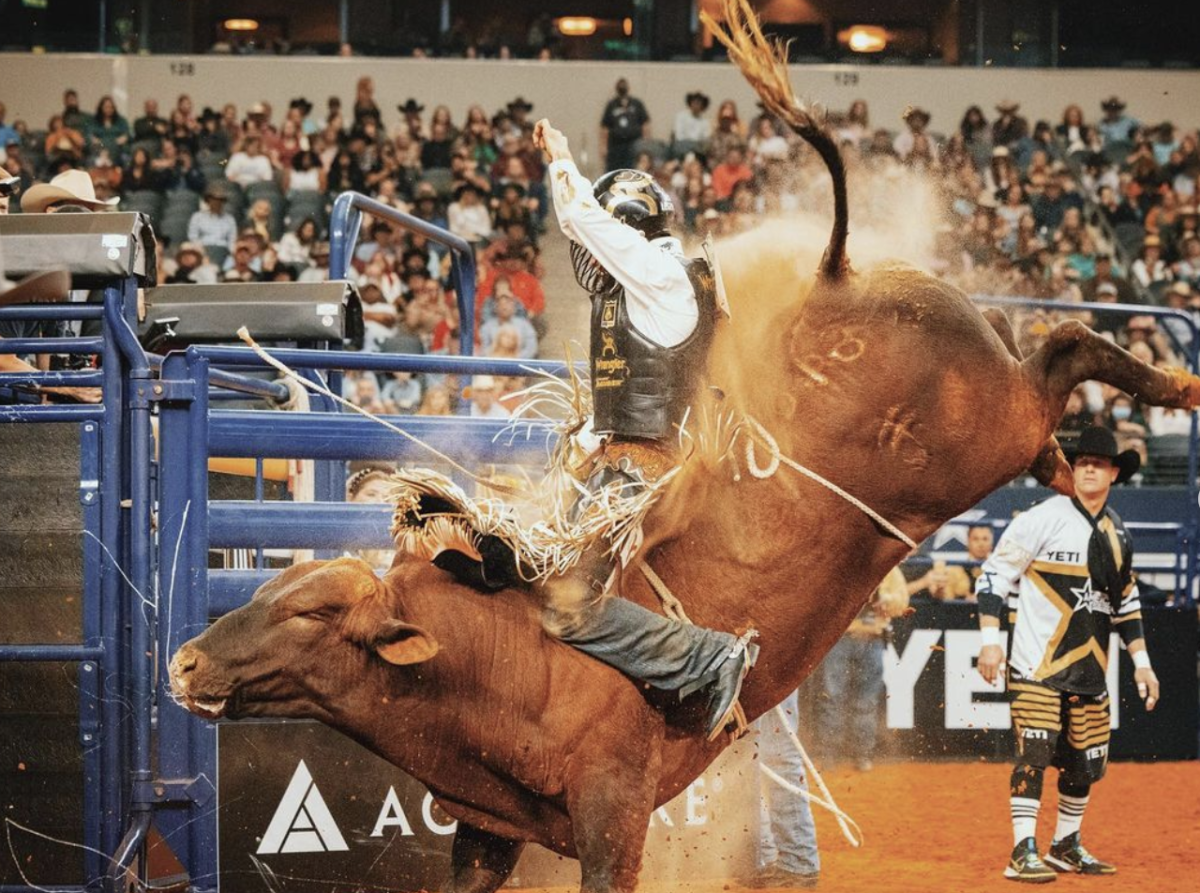 The American Rodeo