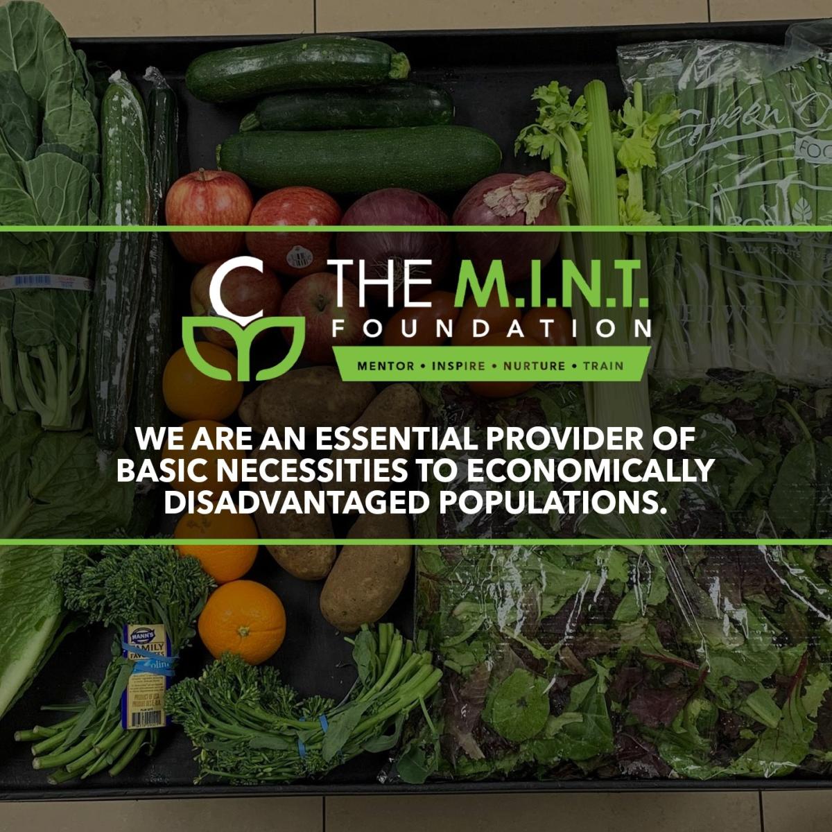 The Chocolate Mint Foundation