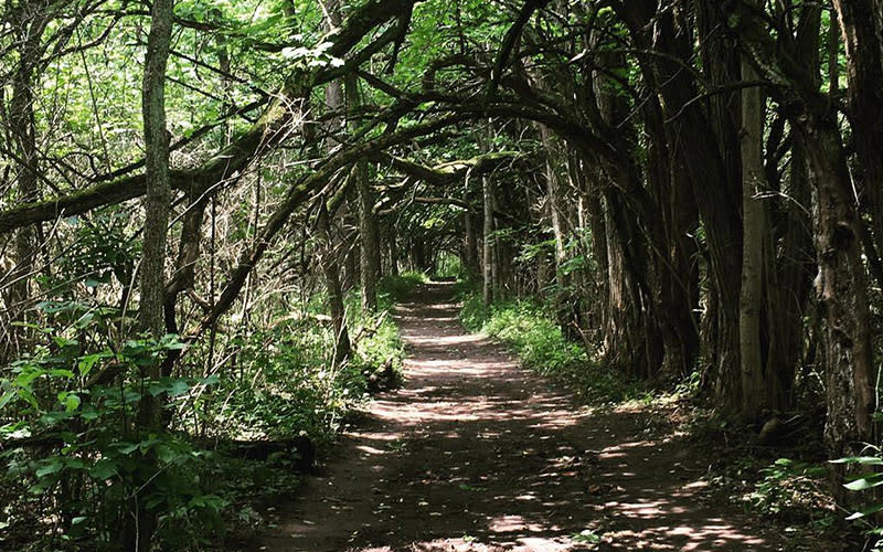 Sugarcreek MetroPark