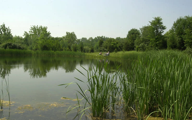 Escape to Ohio's Hidden Gem: Sycamore State Park Adventure!