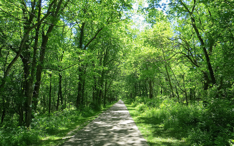Taylorsville Metropark