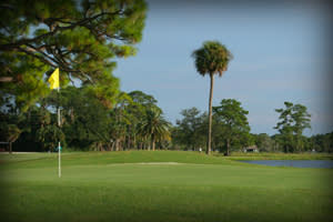 New Smyrna Golf Club | New Smyrna Beach, FL 32168