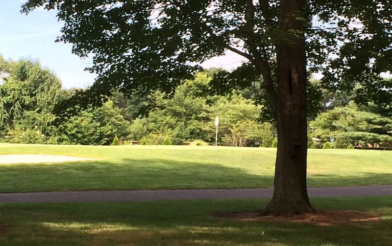 Salt Pond Golf Club