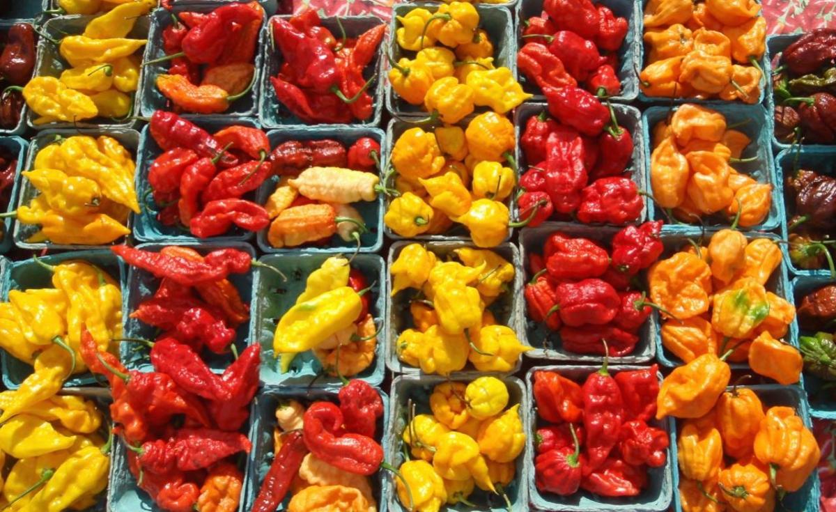 Annual Chile Pepper Festival