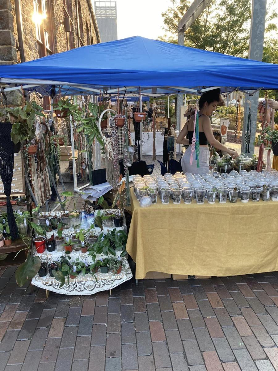Lehigh Valley Wicked Plant Fest