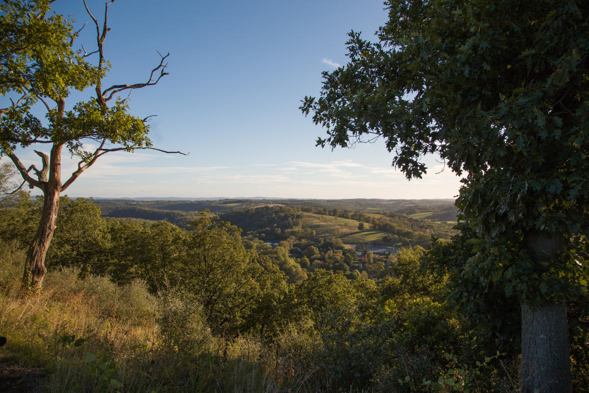 Trexler Nature Preserve Schnecksville Pa 18078