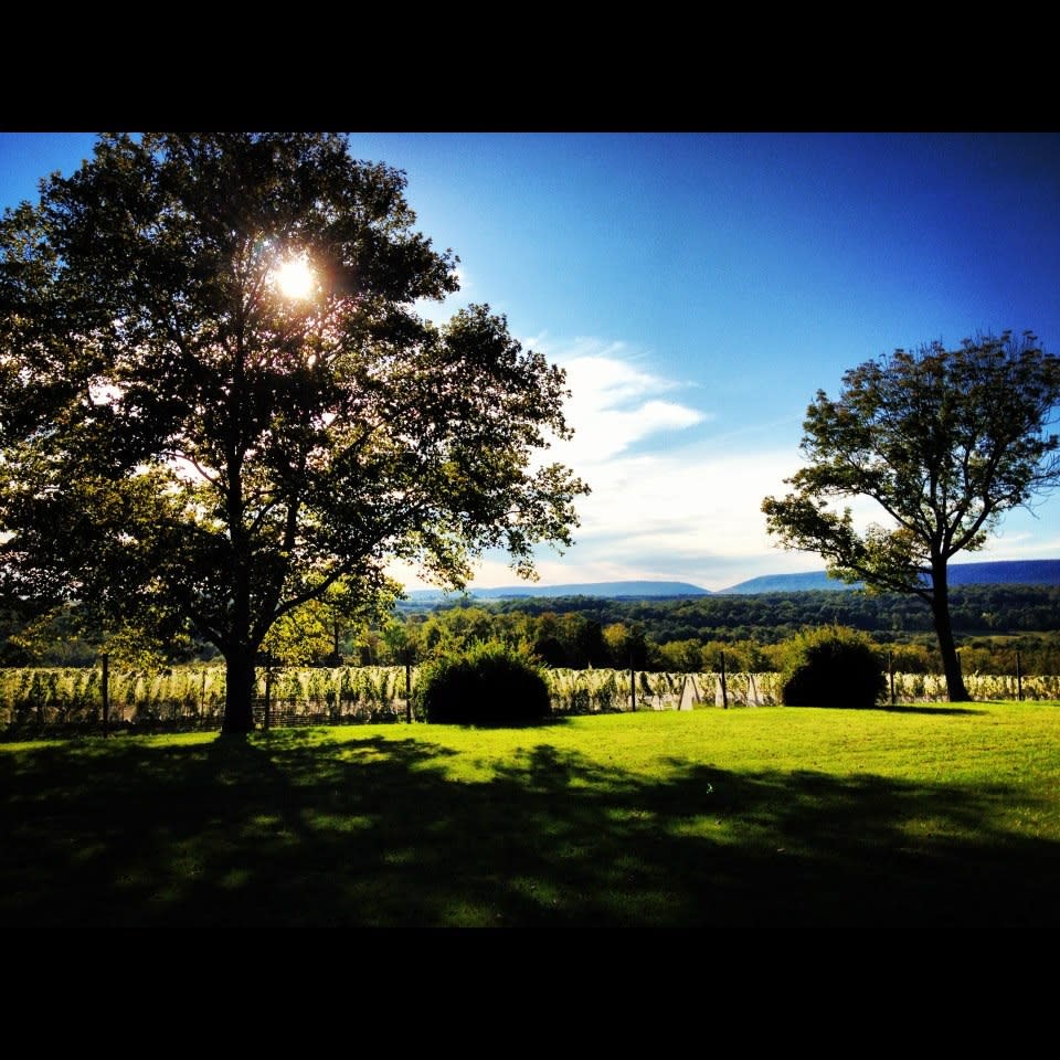 Tolino Vineyards Bangor Pa 18013