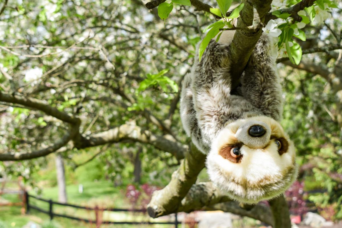 Lehigh Valley Zoo