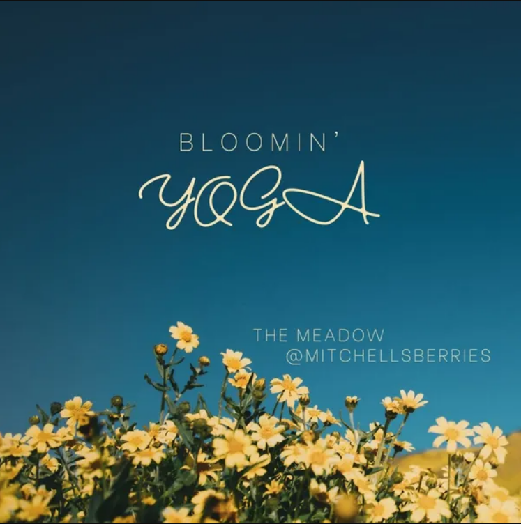 Bloomin' Yoga - Sunset