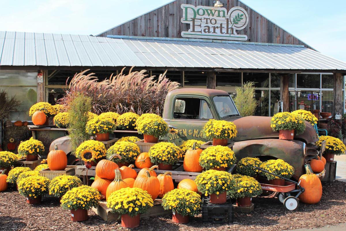 Down to Earth Garden Center Eau Claire, WI