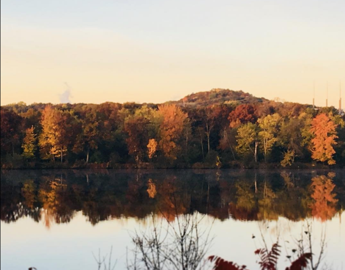 pond claire pond claire