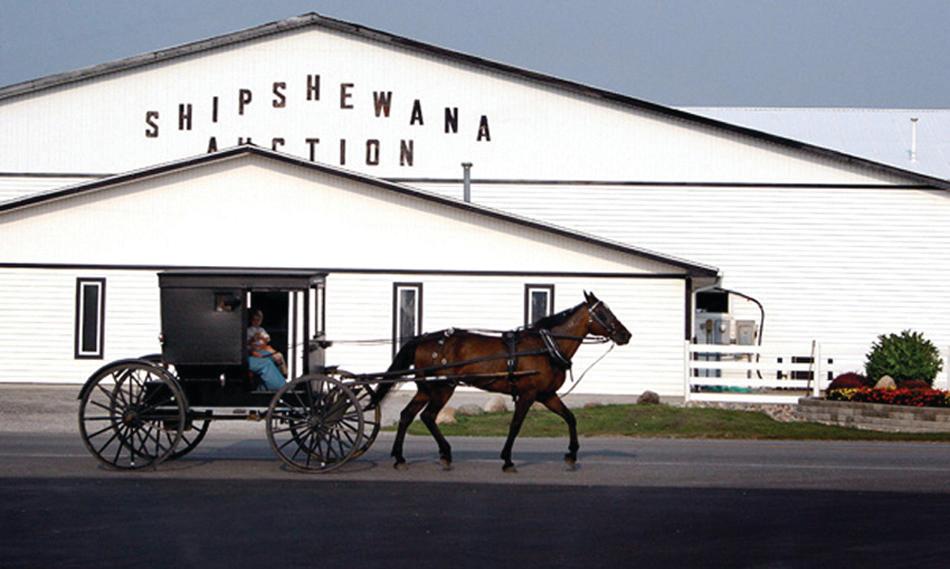 Shipshewana Auction Shipshewana, IN 46565