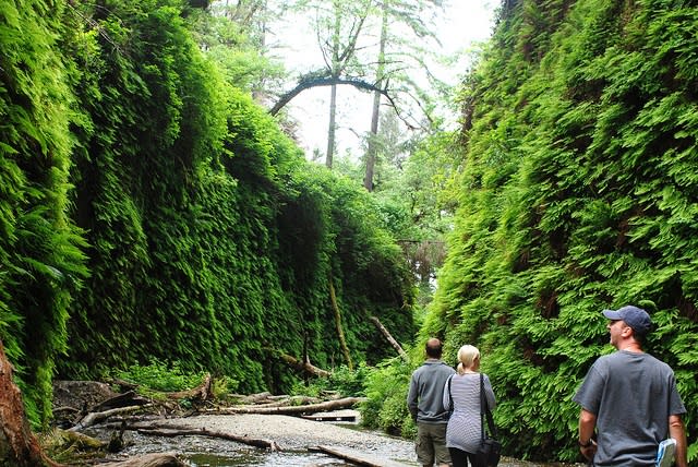 Two Days In Redwood National Park
